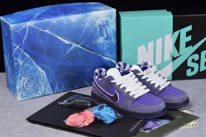 Boostmaster lin NIKE SB DUNK LOW CONCEPTS PURPLE LOBSTER BV1310-555 0131