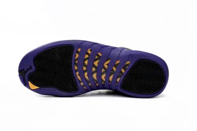 Bmlin shoes Air Jordan Field Purple CT8013-057 Retro 12 0224