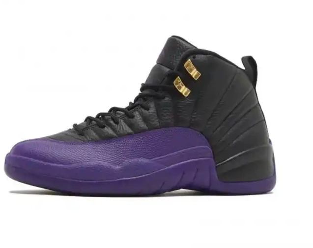 Bmlin shoes Air Jordan Field Purple CT8013-057 Retro 12 0224