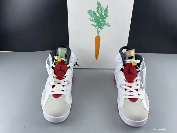 Boostmaster lin CT8529-062 Hare Air 6 Jordan 0208